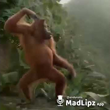 Video lucu(besok libur)