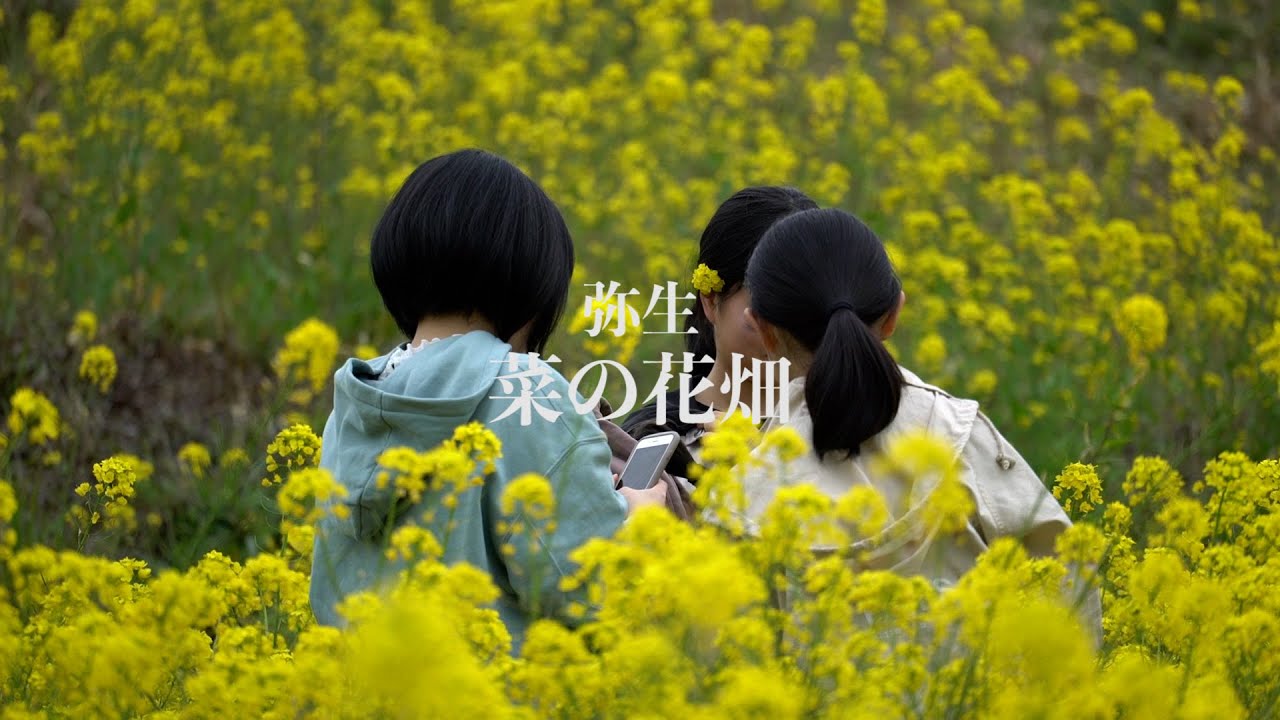 風景 映える 佐伯市弥生の菜の花スポット おこしくださいき 大分県佐伯市弥生 112 Youtube