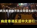 视频：武汉阳逻数万民众环保大游行、响应香港反送中大游行？（7/3）