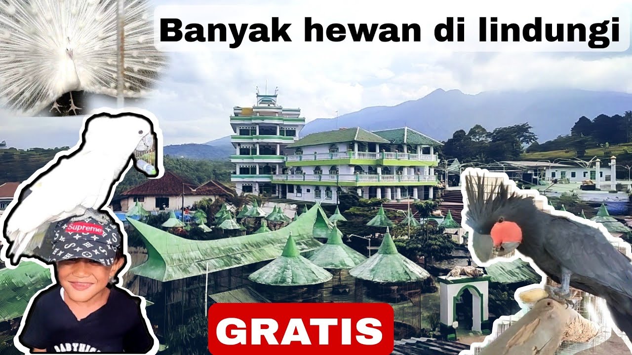 KESERUAN BERSAMA HEWAN-HEWAN LANGKA DI ISLAMIC CENTER GAROKGEK WANAYASA PURWAKARTA | DAILYVLOG EPS 8