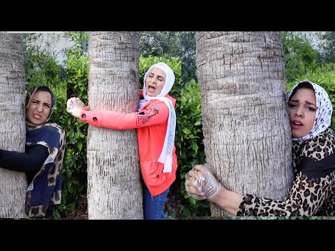 اخر شخص هيفك نفسة هيب الفلوس والعقاب هنشد حواجبة كلنا خناقة ندي ومحمود وسلمي