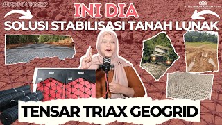 Stabilisasi Tanah Lunak? Ini Solusinya | Kenalan Dengan Tensar Geogrid TriAx