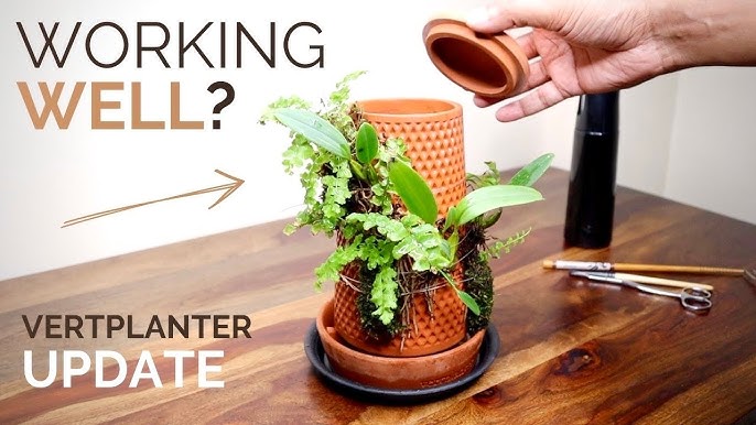 Vidéo : Terraplanter, le pot de terre universel qui fait pousser