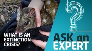 What is an Extinction Crisis? | Ask an Expert