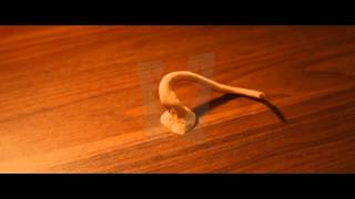 Tentacle action Stop motion