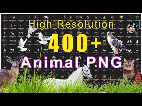 Free High Resolution 400+ Animal PNG Pack Free Download | PNG Overlay