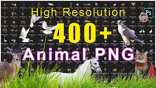 Free High Resolution 400  Animal PNG Pack | PNG Overlay