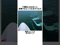 干潮時に水の近くに駐車するとこうなるそうだが