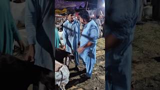 MRA Prank😂😂 | MR Atif And Team