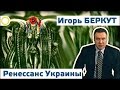 Игорь Беркут. Ренессанс Украины. 20.10.2016 [РАССВЕТ]