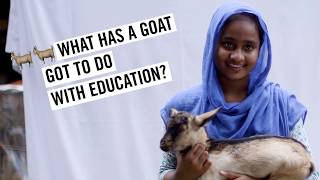 What Do Goats Have To Do With Education?
