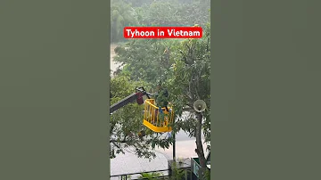 Today Looks Bad Here In Some Part Of Vietnam We Re Having A Tyhoon 