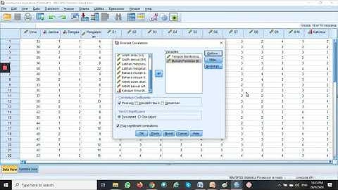 Pearson Correlation Using SPSS