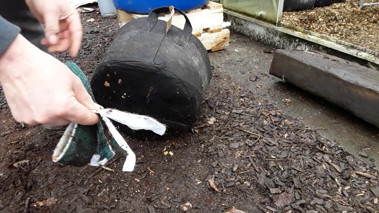 Обзор капиллярного мата Yuzet 0,6 м x 3,0 м и фитильной водосточной системы ♻️ Светодиодные свети...