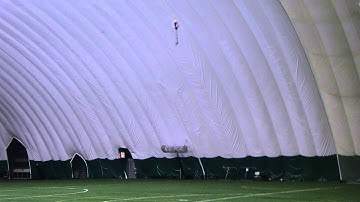 TRex 450 Pro DFC test flight