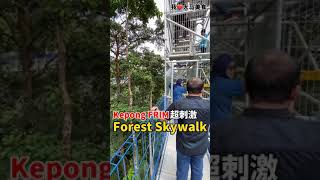 【吉隆坡甲洞景点】Forest Skywalk @ FRIM Kepong