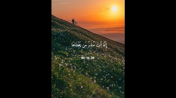 سوره النازعات | الشيخ صلاح بو خاطر #اكسبلور #المصحف #راحة_نفسية #حالات_واتس #قرآن