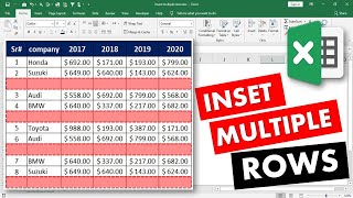 How to insert multiple rows in Microsoft excel
