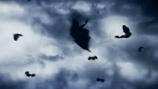 Bats Flying Over The Moon Background
