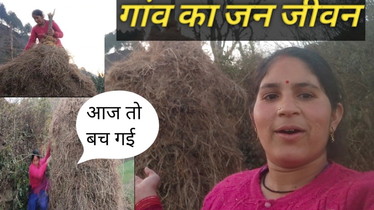 गांव की महिलाओं का जीवन कुछ इस तरह से होता है ||villege life 🥺 pahadi lifestylevlog Ruchi panwar 