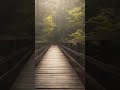 Walking On A Wooden Bridge Relaxing Sounds Shorts Asmr Whitenoise 
