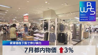 7月都内物価↑3％　資源価格下落で伸び鈍化【WBS】（2023年7月28日）