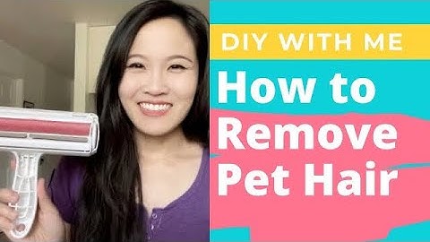 Transform Your Cleaning Routine: Best Reusable Lint Roller & Pet Hair Remover