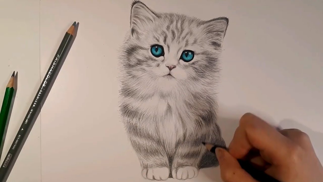 Chat рисует. Draw chat. Chat drawing.