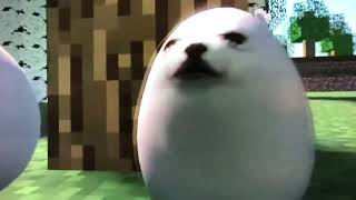 Avengers:eggdog