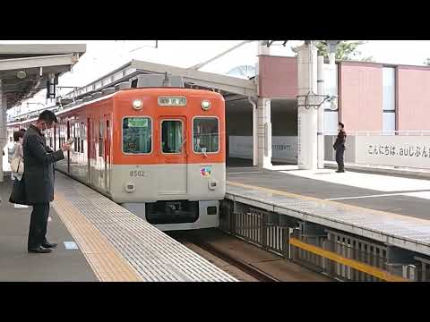 back number「アイラブユー」　阪神甲子園　高校野球2023春　8502-8523編成