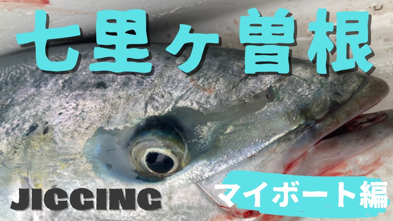 Going to Shichirigasone in my own boat!! #myboat #yellowtail