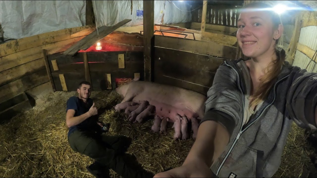 💥ОПОРОС БЕЗ РОДИЛЬНОЇ КАМЕРИ І ЙОГО РЕЗУЛЬТАТ😲. РОЗПАКІВКА З НОВОЇ ПОШТИ💥