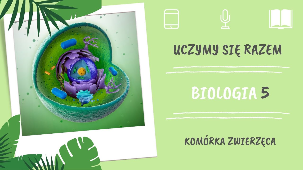 Biologia klasa 5. Komórka zwierzęca. Uczymy się razem - YouTube