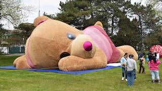 World's Largest Teddy Bear Visits Waukegan, IL 05/09/26