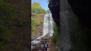 Hidden Deep Inside the Lush Forests of Chikmagalur 🌿✨ #Chikmagalur #HiddenParadise
