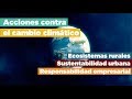 ENDESU.TV | 3: Acciones frente al cambio climático