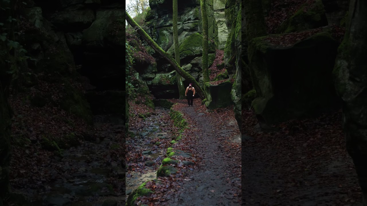 You MUST hike this trail if you are ever in Germany or Luxembourg 