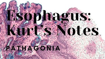 Esophagus: Kurt’s Notes #pathagonia