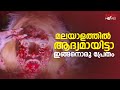 മലയാളത്തിൽ ആദ്യം ആയിട്ടാ ഇങ്ങനൊരു പ്രേതം | Summar Palace Movie |Krishna Kumar|Malayalam Horror Movie