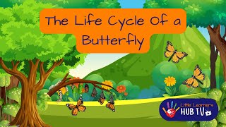 The Life Cycle Of a Butterfly | Butterfly Life Cycle | Kids Butterfly Life Cycle  Cartoon Video