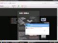 How to get NOGBA or DeSmuMe Emulator