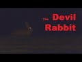 &#39;Devil&#39; Rabbit with red eyes in the dark. Nikon P1000 Night Zoom Test