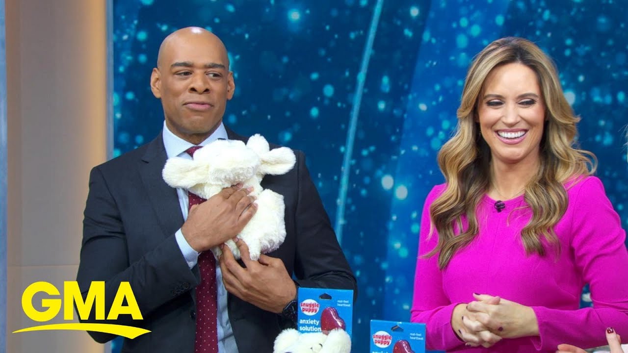 Deals and Steals: Holiday gift ideas | GMA3