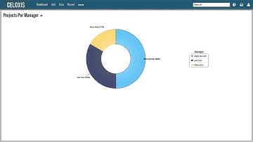 Create a pie chart report