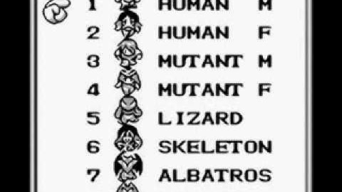 The Angry Video Game Nerd Final Fantasy Legends