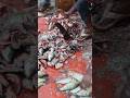 pro fish cutting🐠 #fishhuntingfishing #fish #cuttingskills #fishinglife#shorts #shortsfeed #trending