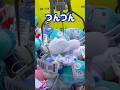 【サンリオ】設定ミス?簡単にシナモロールがゲット出来るクレーンゲーム #サンリオ #sanrio #ufoキャッチャー #shorts