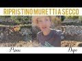 Come ripristiniamo MURETTI A SECCO massacrati dai cinghiali in Liguria di Ponente ⭐ EPISODIO #1