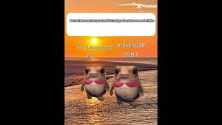 elle c'est pas pk on dance 😓