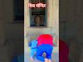 Shiv Mandir murena Jila #song #music #newsong